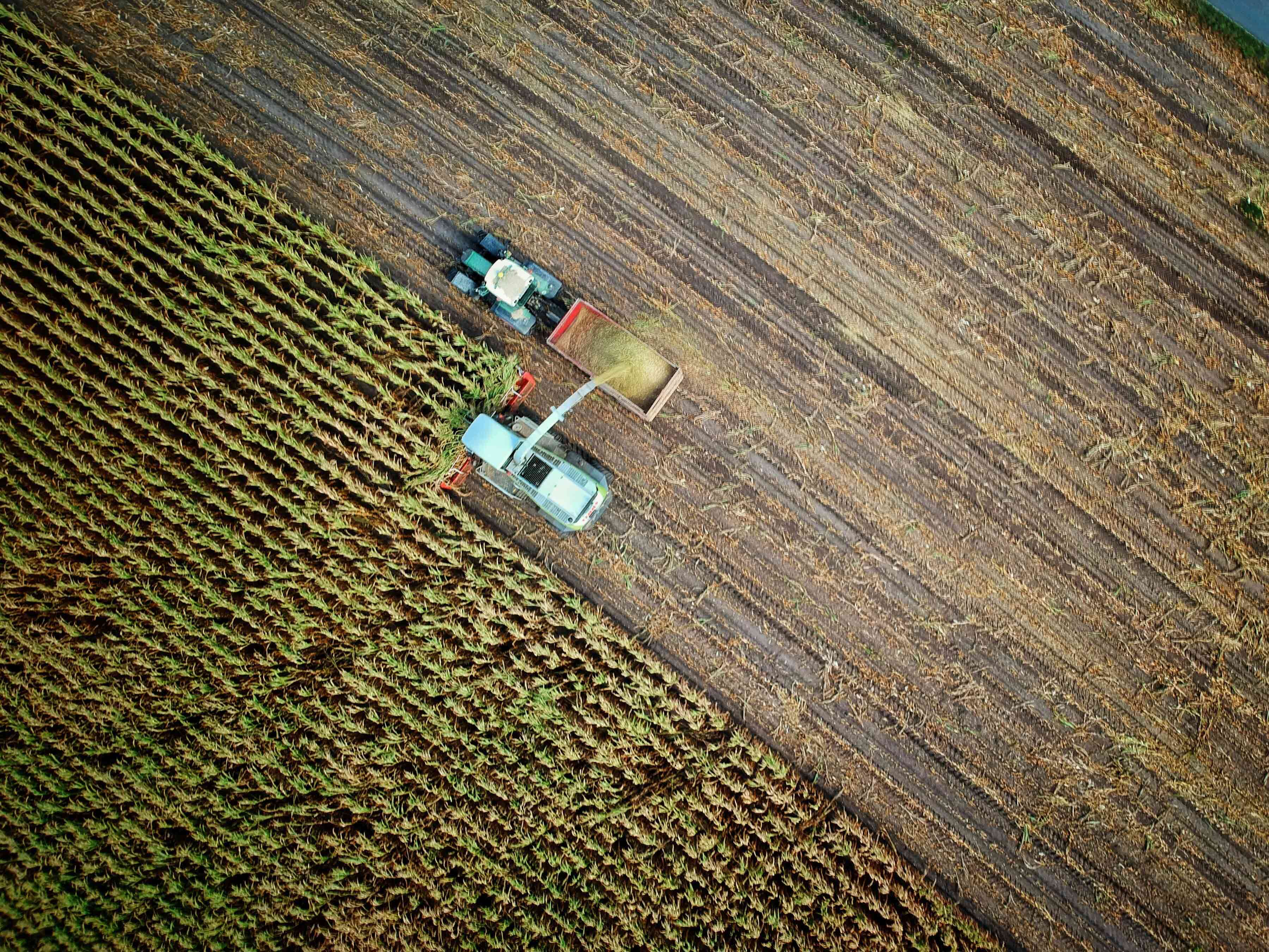 Agroindustria